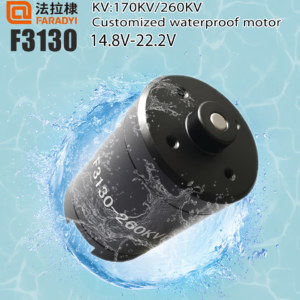 F3130 Waterproof motors