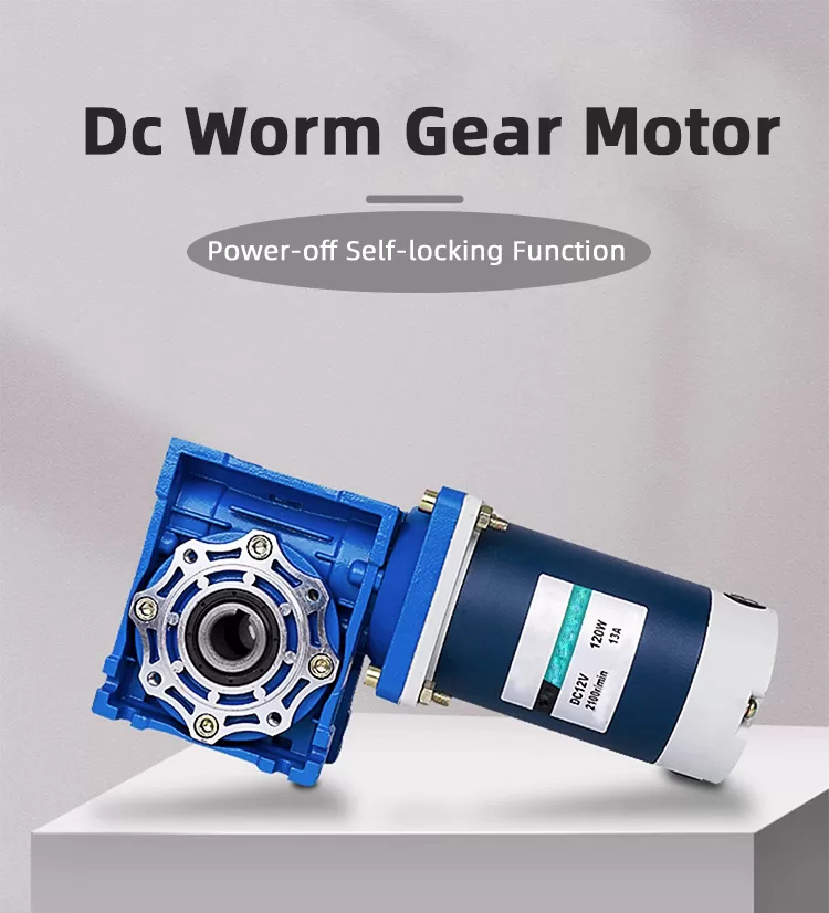 Faradyi 5D120-RV Dc Worm GearMotor