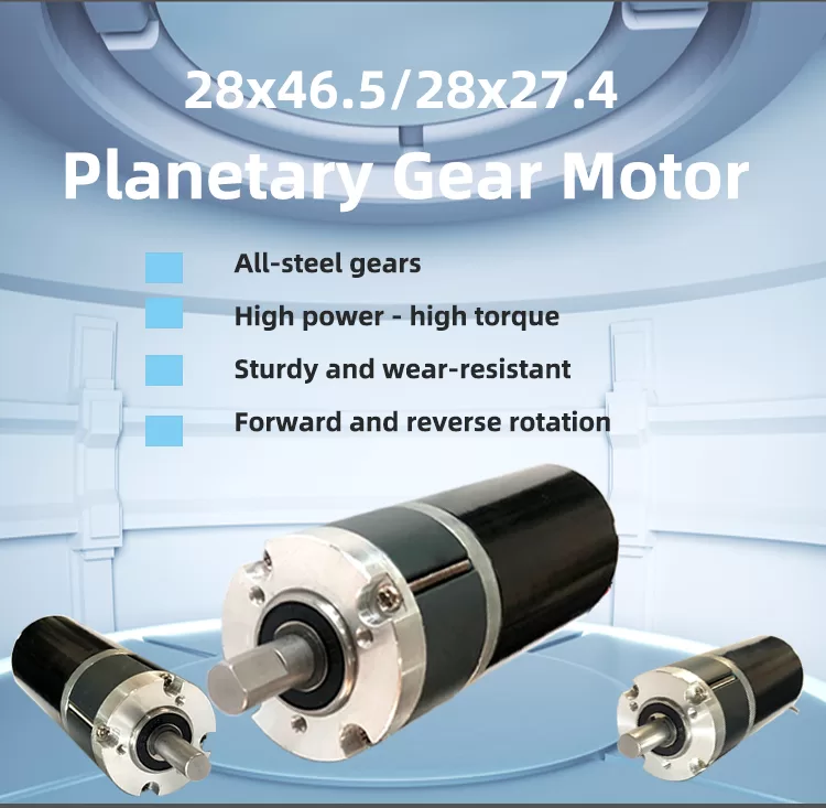 Planetary Gear Motor