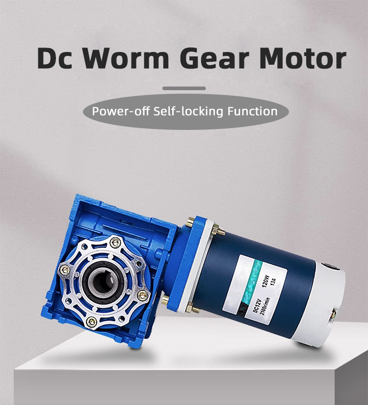5D120-12/ 24 DC Worm gear motors 